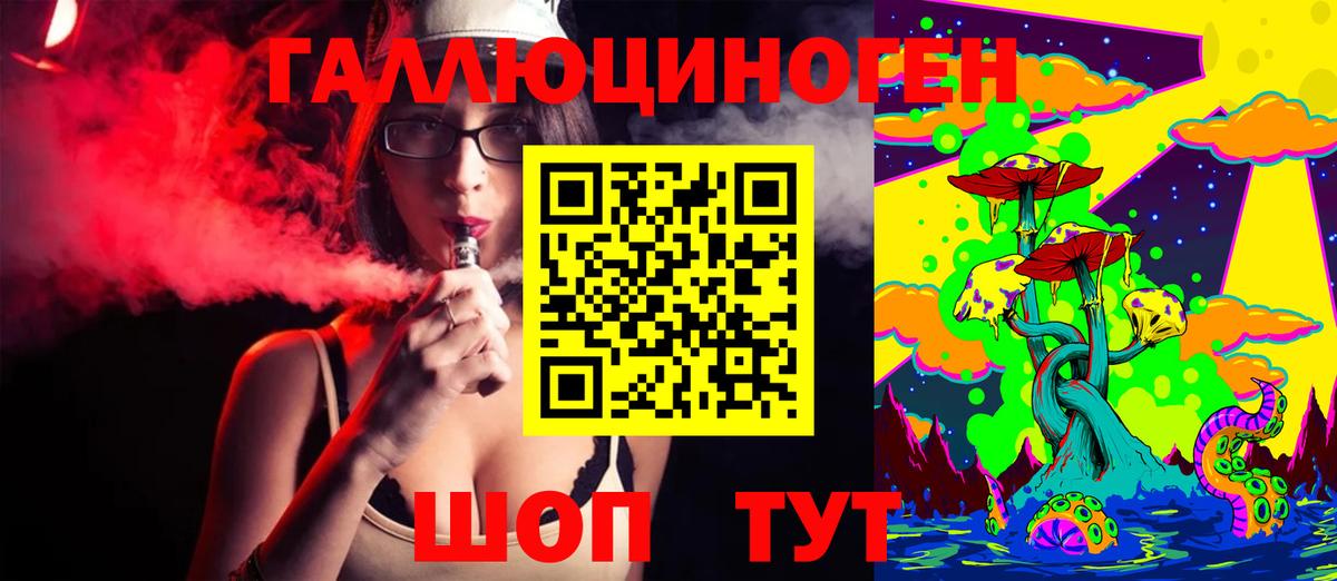 Псилоцибиновые грибы Psilocybe Химки