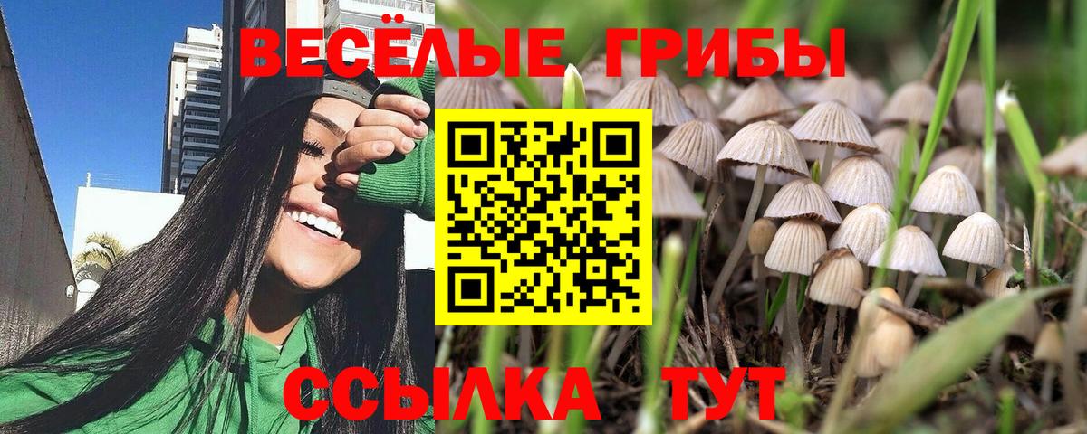 Псилоцибиновые грибы мицелий  Галлюциногенные грибы Psilocybine cubensis  Химки  Вход с VPN 